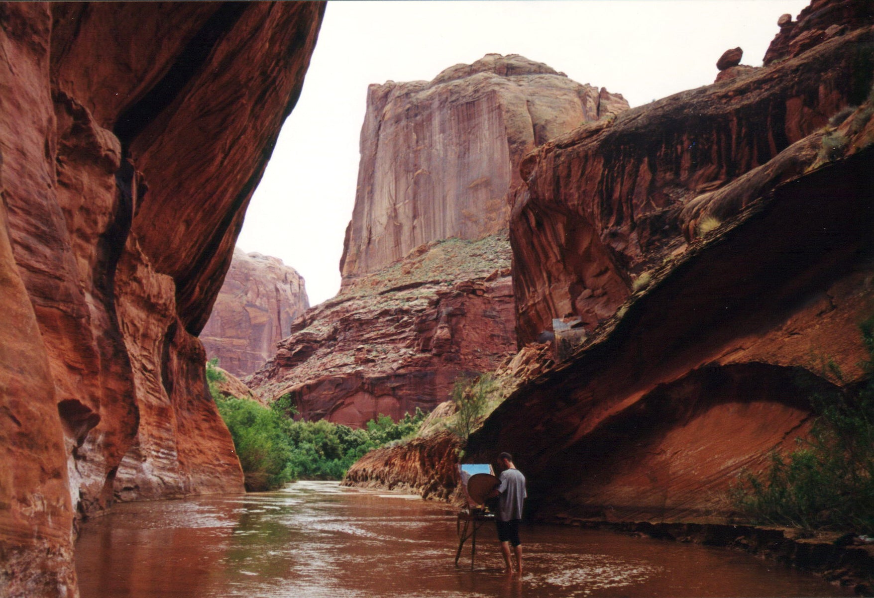 Take Your Art Outside: The Allure of Plein Air Painting