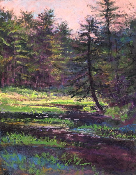 Susan Nicholas Gephart Darks & Accents Pastel Set/20