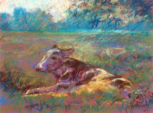 Susan Nicholas Gephart's Expressive Colors Set/40