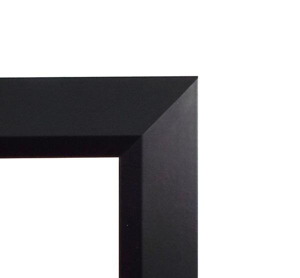 "Campo"™ Plein Air Frame Bundle