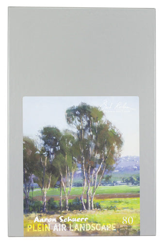 Aaron Schuerr Plein Air Set/80