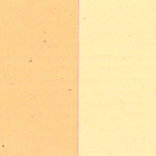 Holbein Oil 20ml Tubes OPEN STOCK: D - N